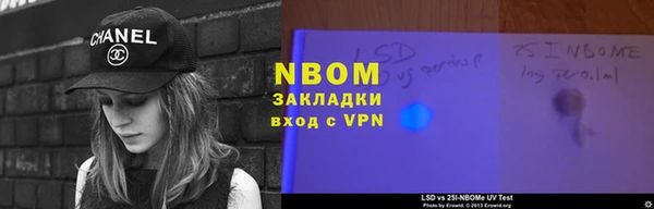 гашик Зерноград