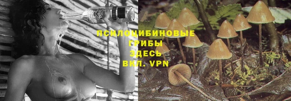 гашик Зерноград