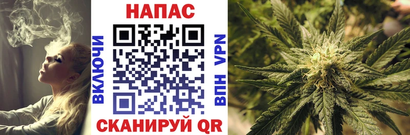 Купить  Новая Ляля  Шишки марихуана семена 